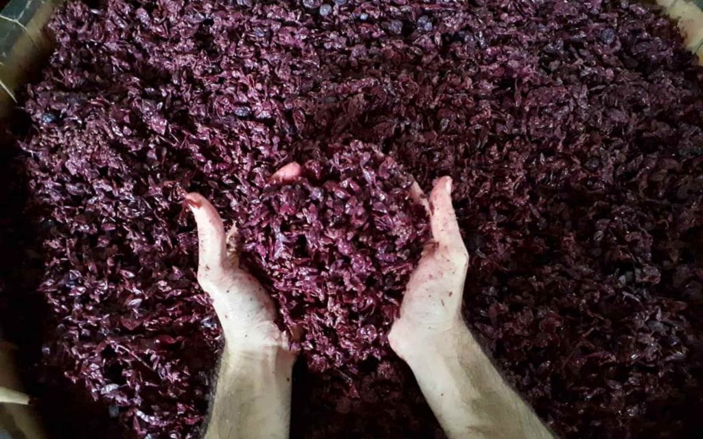 degustazione barolo osteria favorita