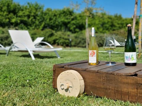 valdobbiadene prosecco superiore brut millesimato
