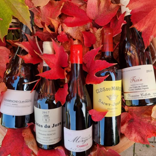 cena degustazione vini francesi