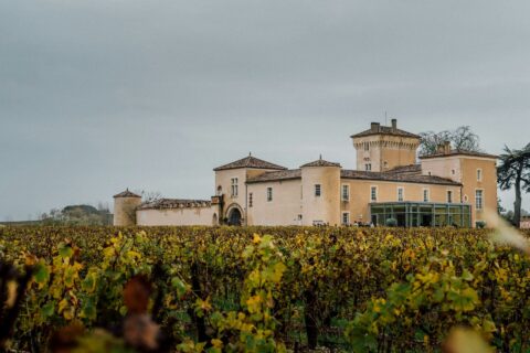 Panorama di vigne e di chateau del Bordeaux