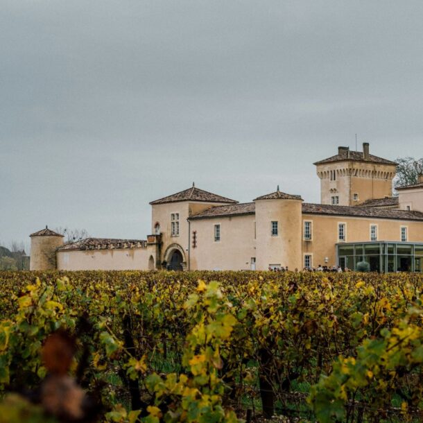 Panorama di vigne e di chateau del Bordeaux